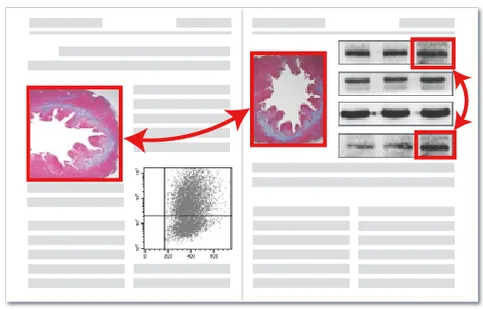图片重复检测演示