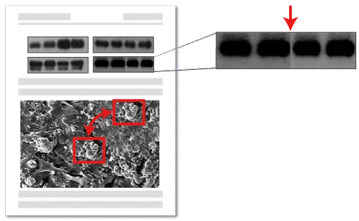 图片篡改检测演示