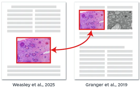 图片抄袭检测演示