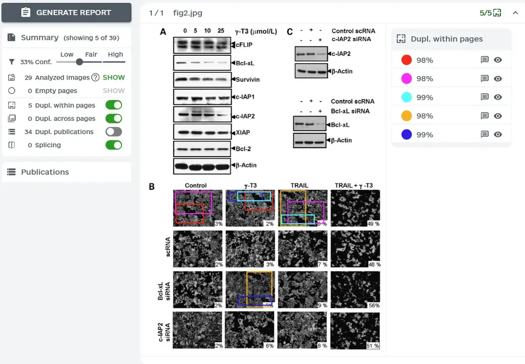 ImageTwin查重报告演示